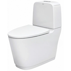 Bồn cầu hai khối Inax AC-842VN nắp đóng êm CF-922VS