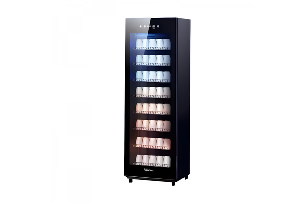 Tủ sấy chén bát Fujihome DD220