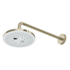 Bát sen gắn tường TOTO TBW01004A
