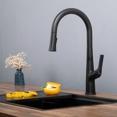 Vòi rửa bát Kluger KLF0002B