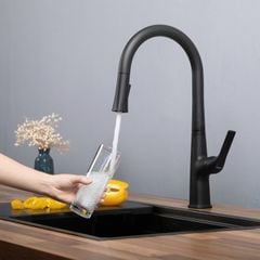 Vòi rửa bát Kluger KLF0002B