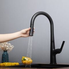 Vòi rửa bát Kluger KLF0002B