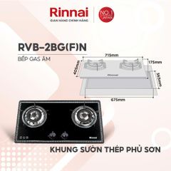 Bếp gas âm Rinnai RVB-2BG(F)N