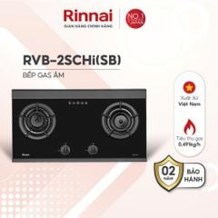 Bếp ga âm Rinnai RVB-2SCHi(SB)