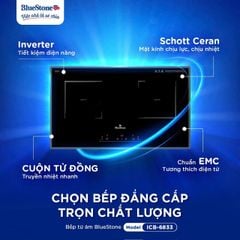 Bếp từ BlueStone ICB-6833