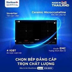 Bếp từ BlueStone ICB-6939 Made in Malaysia