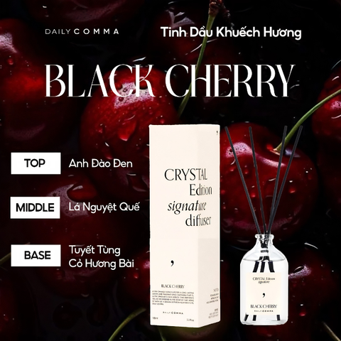  Chế Phẩm Thơm Phòng Daily Comma Crystal Edition Signature Diffuser 