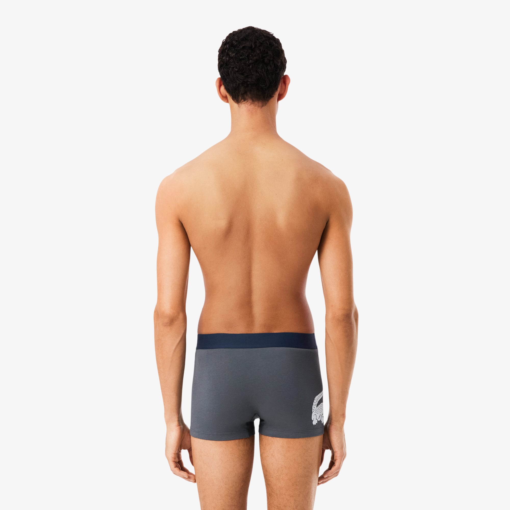 Bộ 3 Quần Lót Trunk Lacoste Nam Chất Liệu Cotton Co Giãn