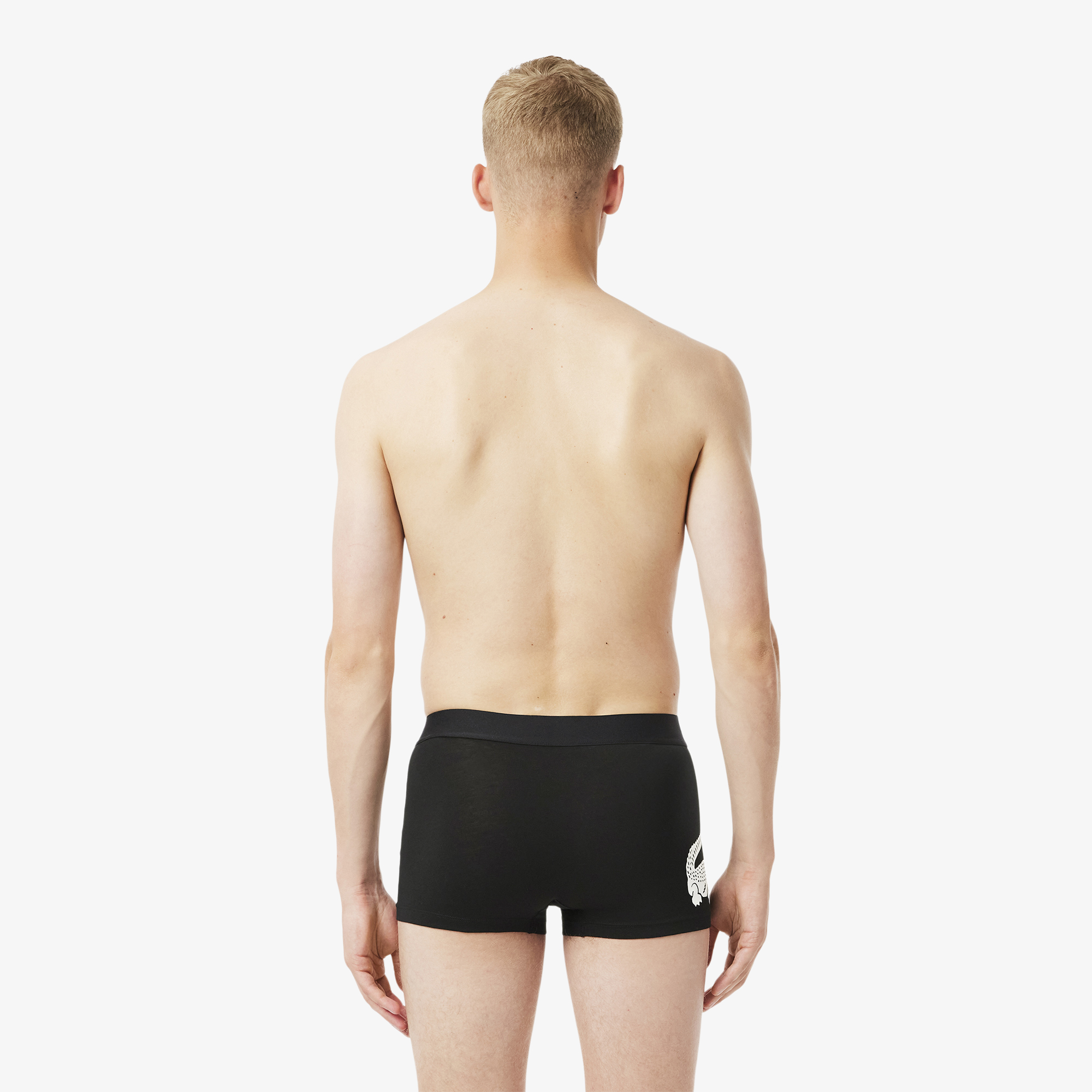 Bộ 3 Quần Lót Trunk Lacoste Nam Chất Liệu Cotton Co Giãn