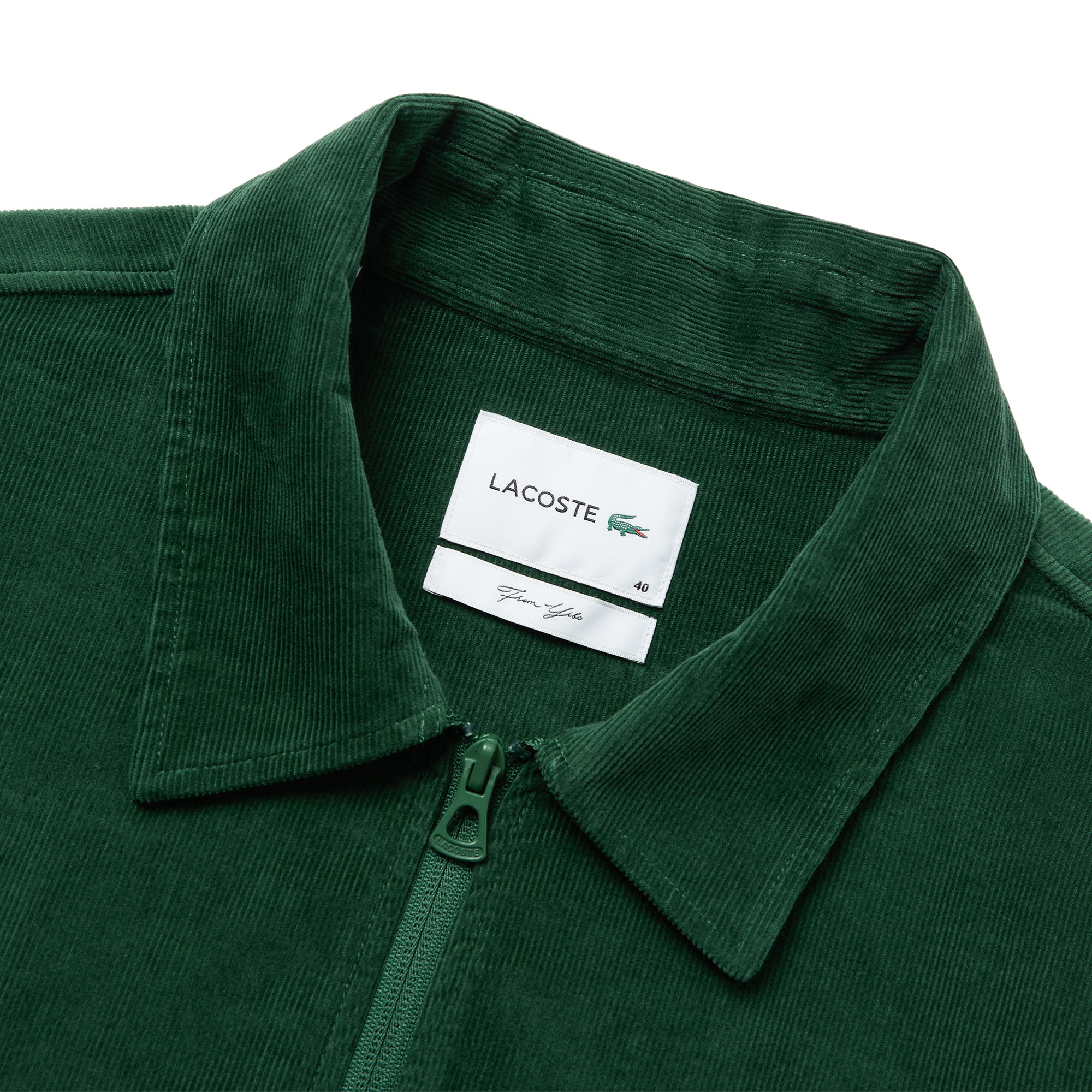 Áo Khoác Lacoste Nam Nhung Tăm From Yibo