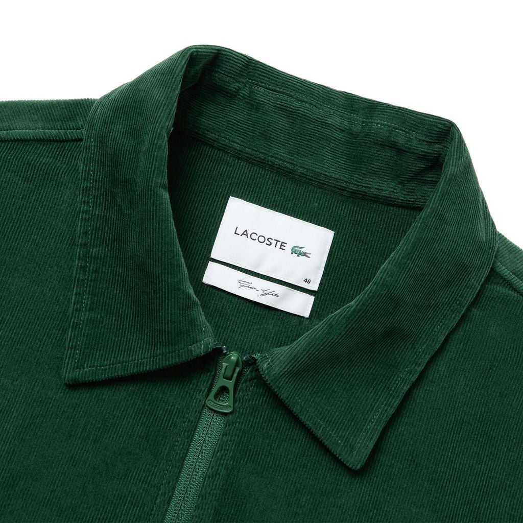 Áo Khoác Lacoste Nam Nhung Tăm From Yibo