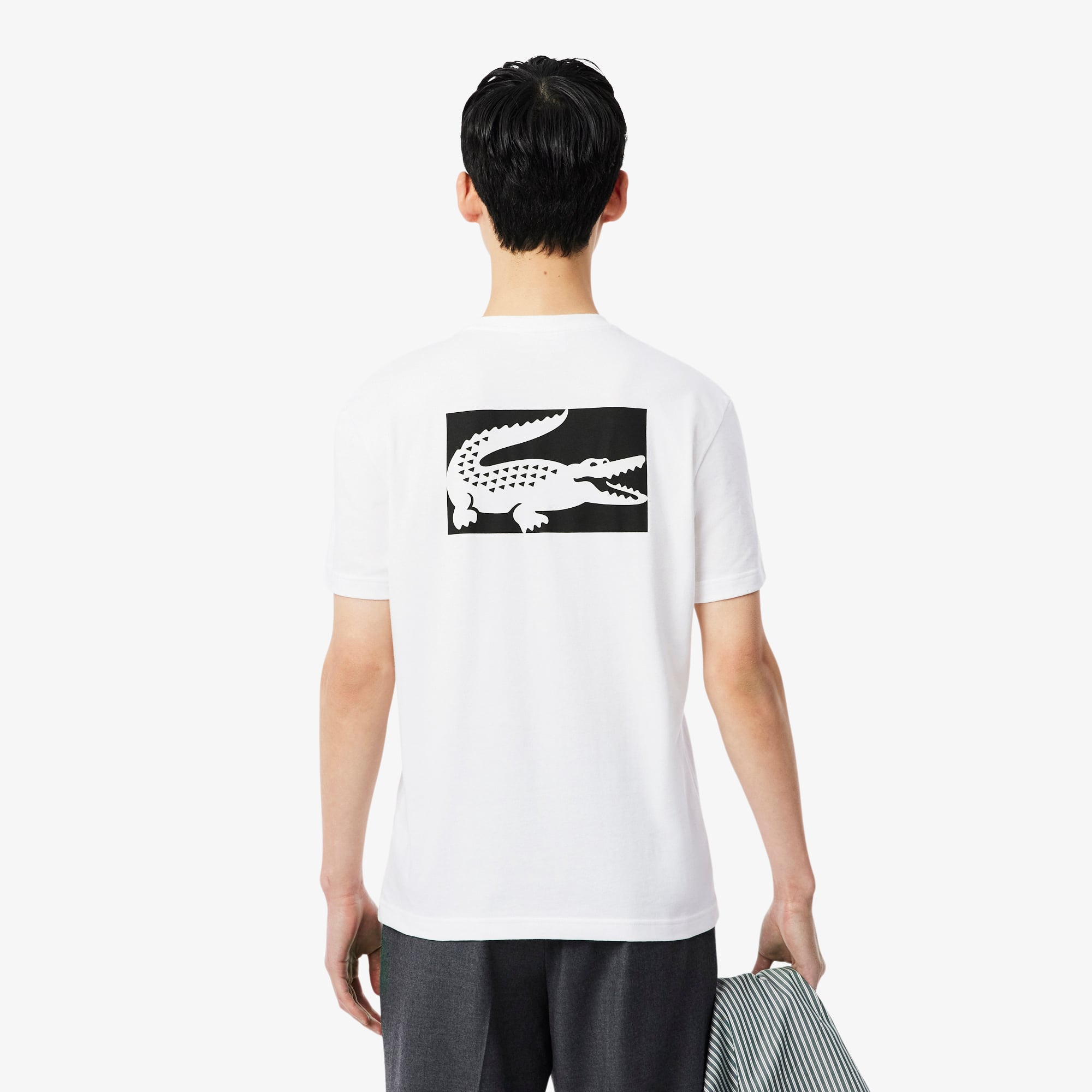 Áo Thun Lacoste Nam Chất Liệu Thun Dệt Kim In Hình
