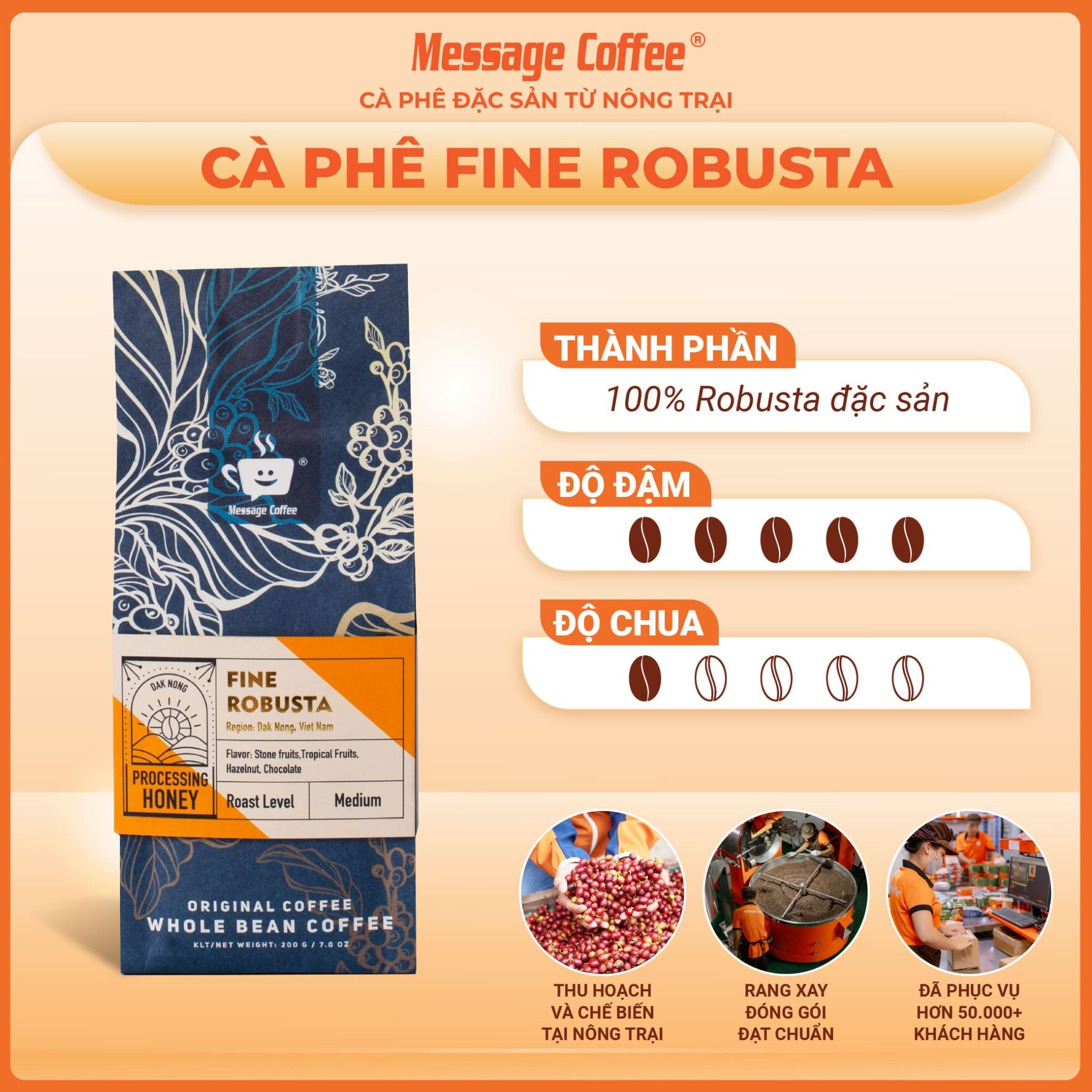  Cà Phê Đặc Sản Fine Robusta - Amazing cup 2022, cafe robusta specialty gu thưởng thức từ Message Coffee gói 200g 
