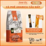  Cà phê Arabica Cầu Đất nguyên chất 100% hậu vị ngọt thơm quyến rũ gói 500g Pha Máy - Cold Brew và Drip từ Message Coffee 
