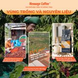  Cà Phê Đặc Sản Fine Robusta - Amazing cup 2022, cafe robusta specialty gu thưởng thức từ Message Coffee gói 200g 