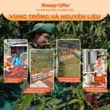  Cà phê nguyên chất Blend Robusta - Arabica rang mộc đậm đà thơm nồng dùng pha phin hoặc pha máy ngon từ Message Coffee 