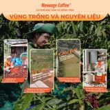  Cà phê nguyên chất Cầu Đất Blend rang mộc 100% thơm quyến rũ hậu ngọt đắng đầm dùng pha máy - pha phin từ Message Coffee 