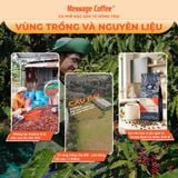  Cà Phê Đặc Sản Arabica - Top 2Amazing cup 2022, Cafe Specialty Arabica gu tinh tế từ Message Coffee Gói 200g 