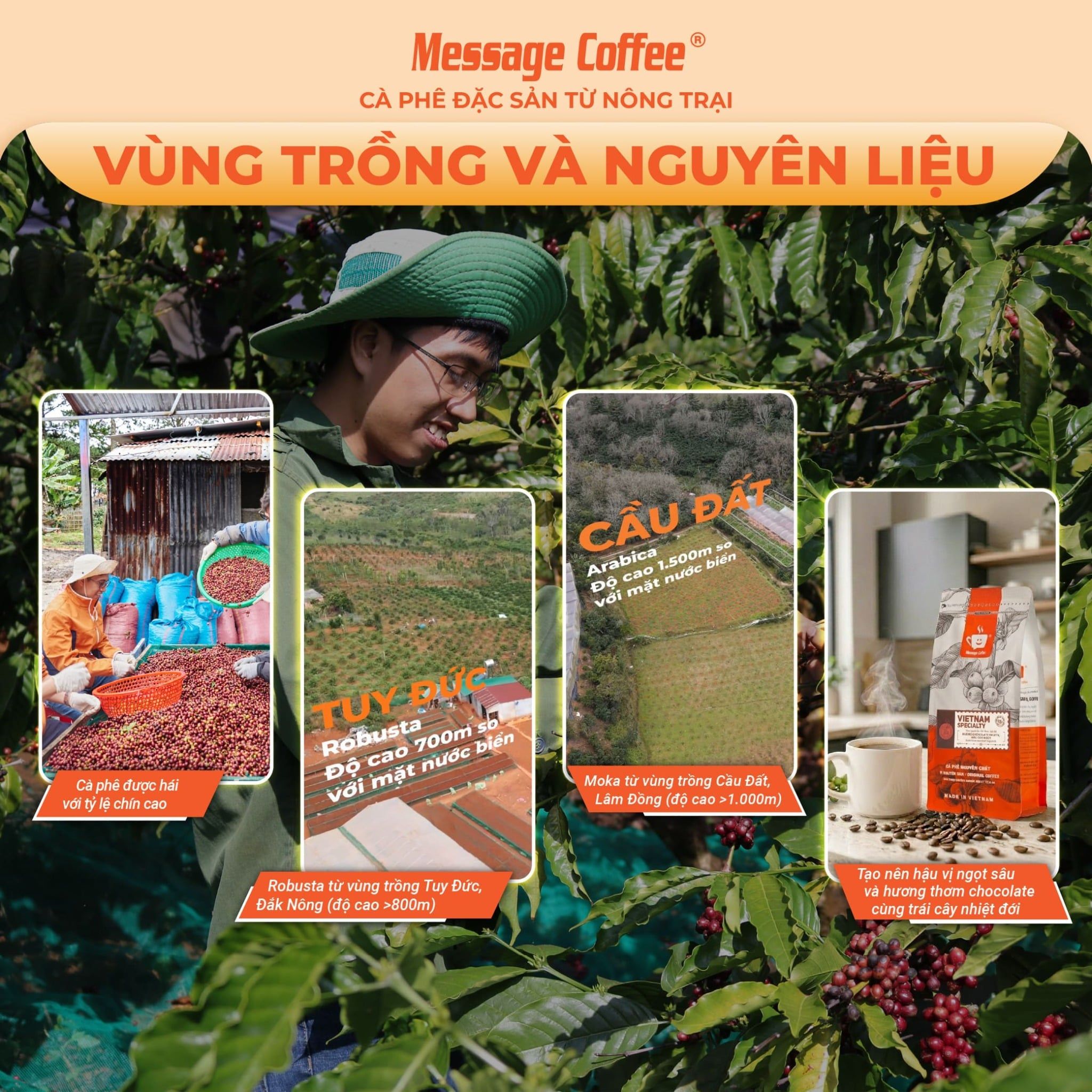  Cà phê nguyên chất Vietnam Specialty CAO CẤP thơm trái cây đắng dịu dùng pha phin hoặc pha máy từ Message Coffe 