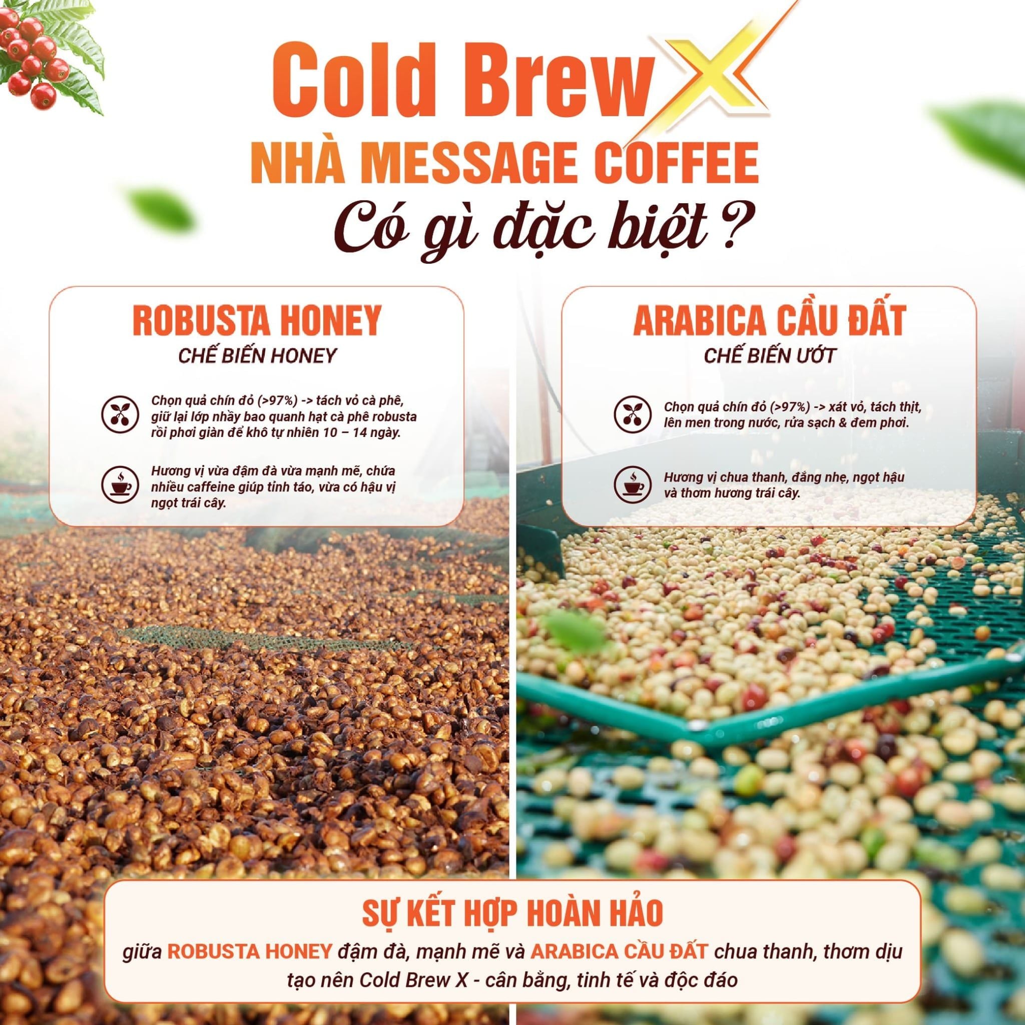  Cà phê Cold Brew X từ Message Coffee dạng túi lọc 10 túi x 15gr 