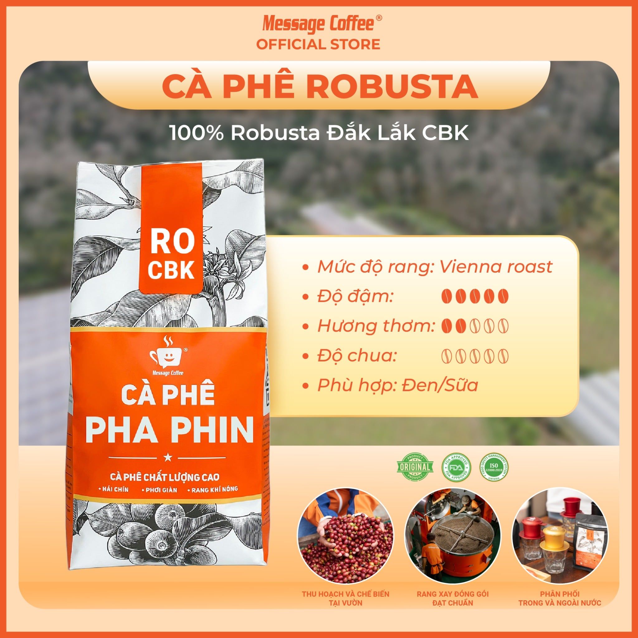  Cà phê ROBUSTA RO nguyên chất 10Kg, cà phê giá sỉ dành cho chủ quán từ Message Coffee 