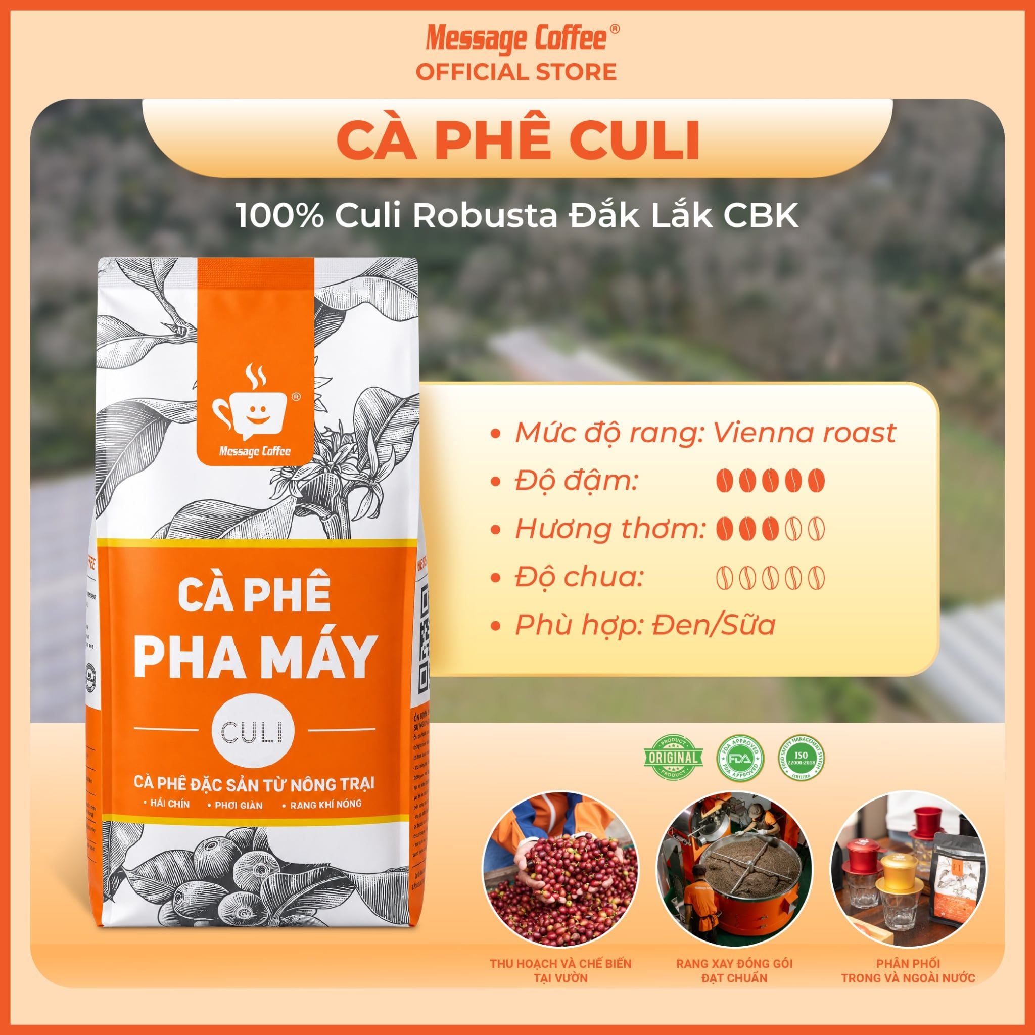  Cà phê hạt CULI ROBUSTA rang xay mộc nguyên chất 10KG từ Message Coffee 