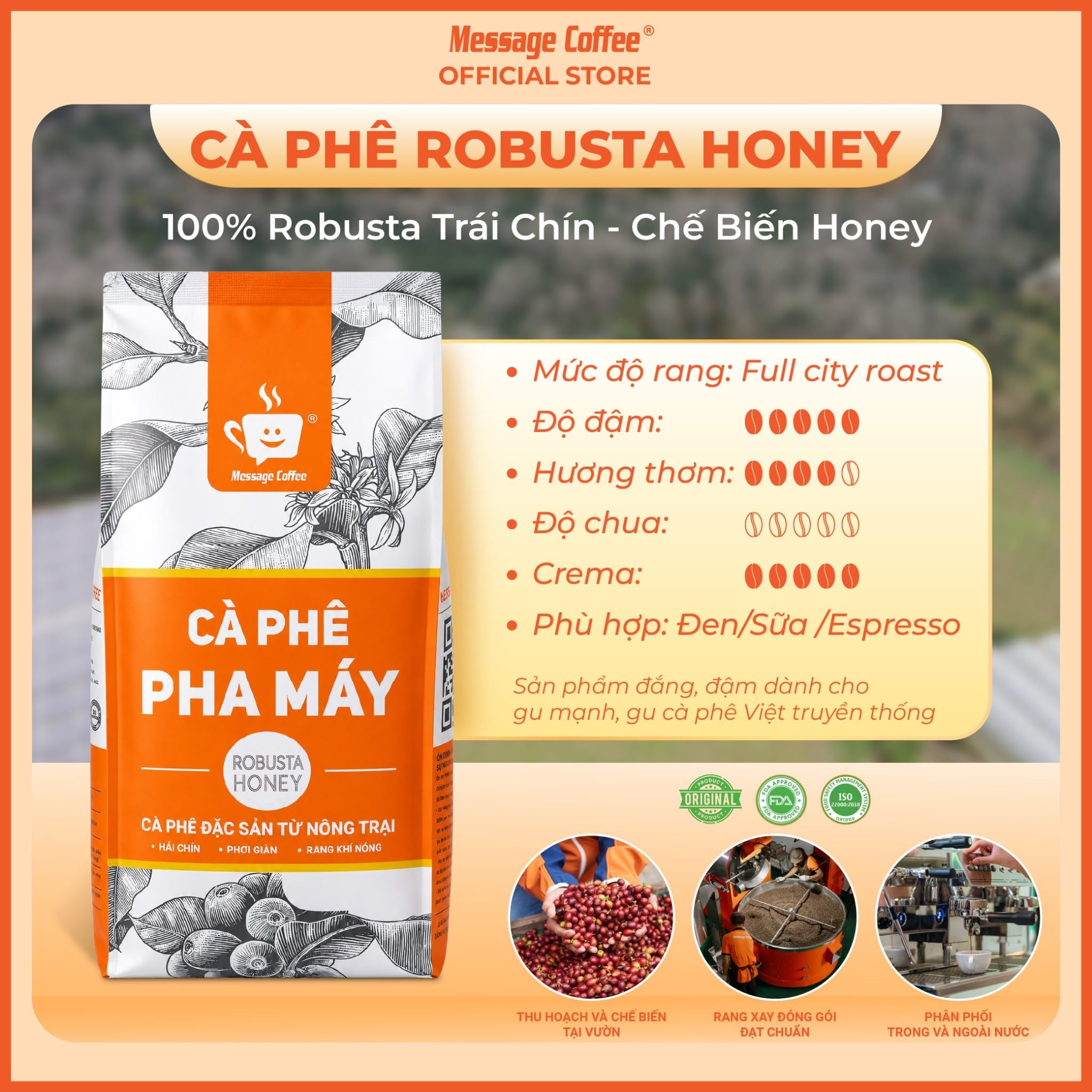  Cà phê ROBUSTA HONEY SÀN 16-18 nguyên chất 10Kg từ Message Coffee 