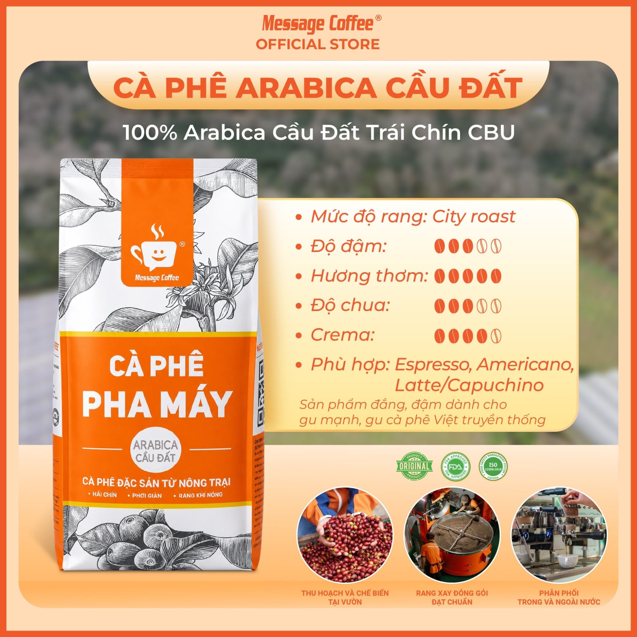  Cà phê ARABICA CẦU ĐẤT nguyên chất 10Kg từ Message Coffee 