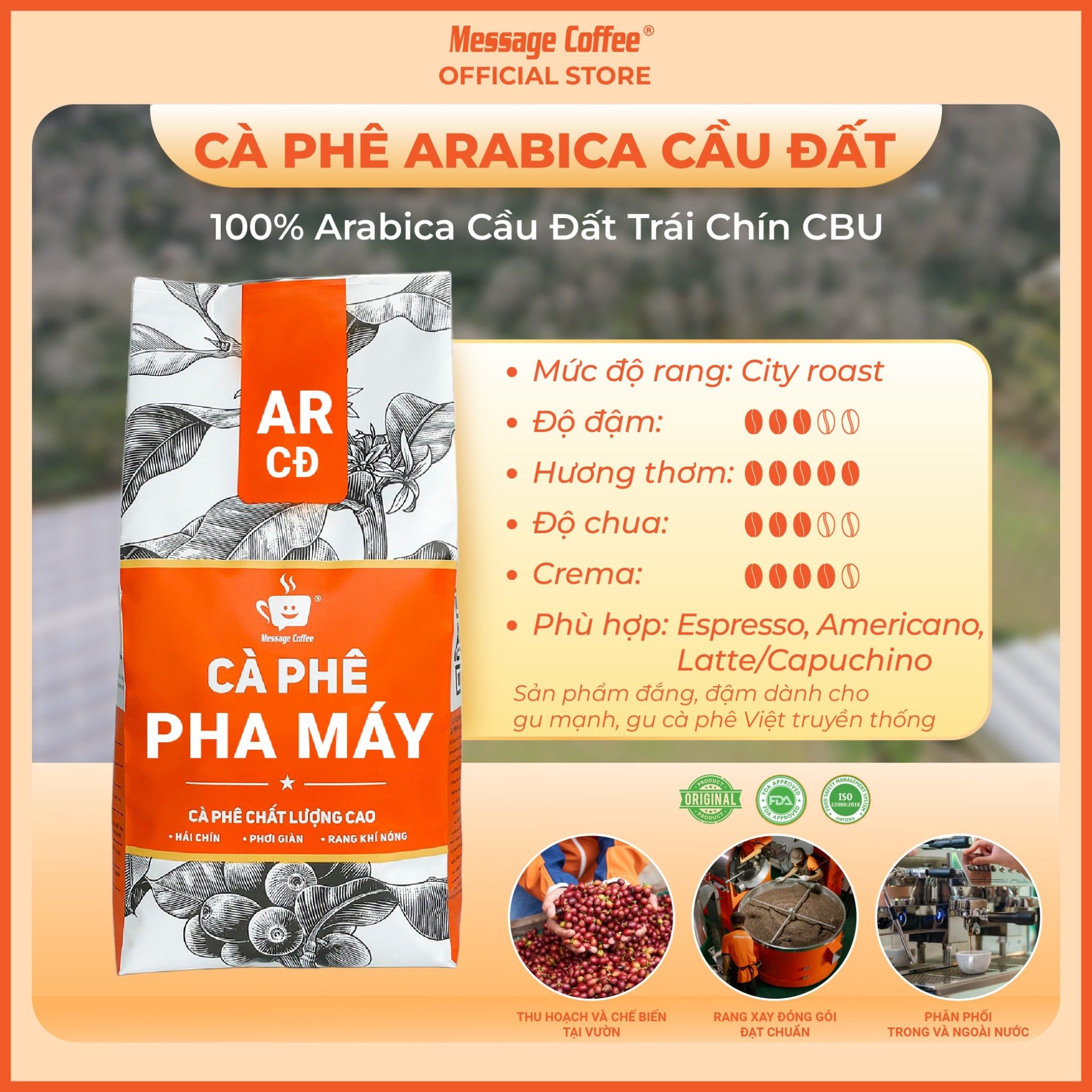  Cà phê ARABICA CẦU ĐẤT nguyên chất 10Kg, cà phê giá sỉ dành cho chủ quán từ Message Coffee 