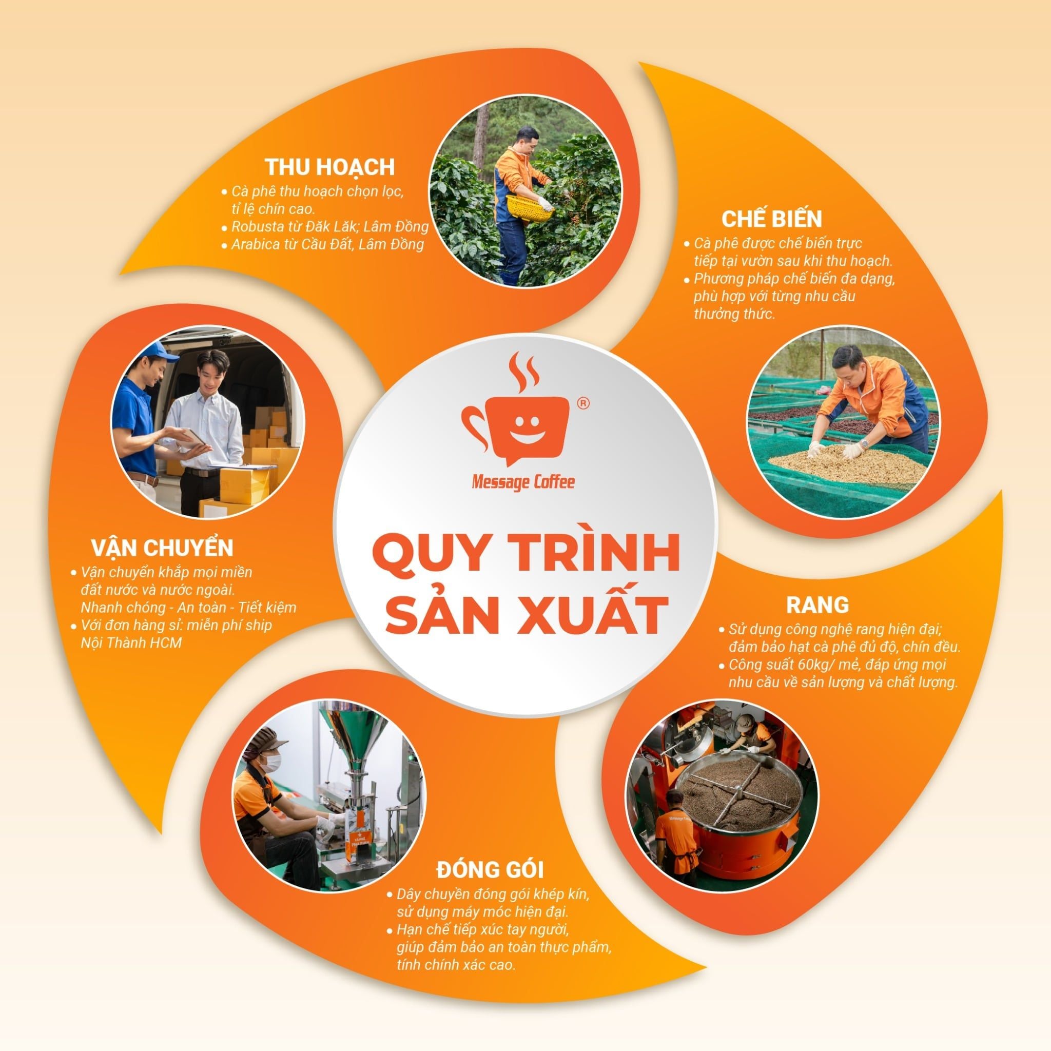  Cà phê hạt CULI ROBUSTA HONEY rang xay mộc nguyên chất 10KG | Cà phê giá sỉ dành cho chủ quán từ Message Coffee 