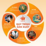  Cà phê hạt CULI ROBUSTA rang xay mộc nguyên chất 10KG | Cà phê giá sỉ dành cho chủ quán từ Message Coffee 