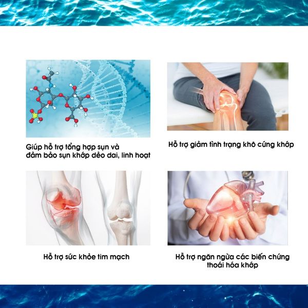 Sụn vi cá mập Healthy Care Shark Cartilage 750mg hỗ trợ xương khớp, tăng cường miễn dịch 200 viên