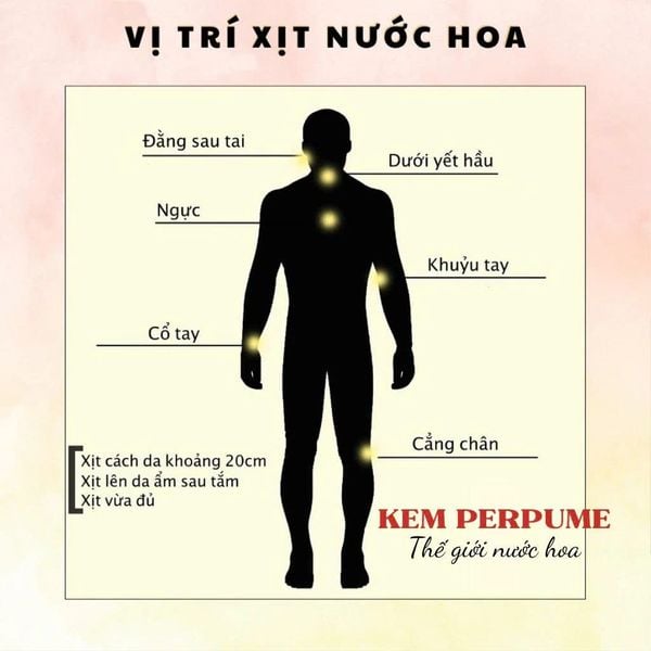 Nước Hoa Nam AFNAN Supremacy In Heaven EDP 100ML