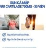 Sụn Cá Mập Costar SHARK CARTILAGE 750MG, Bổ Khớp - Hộp 30 Viên - Nhập Khẩu Chính Hãng Úc