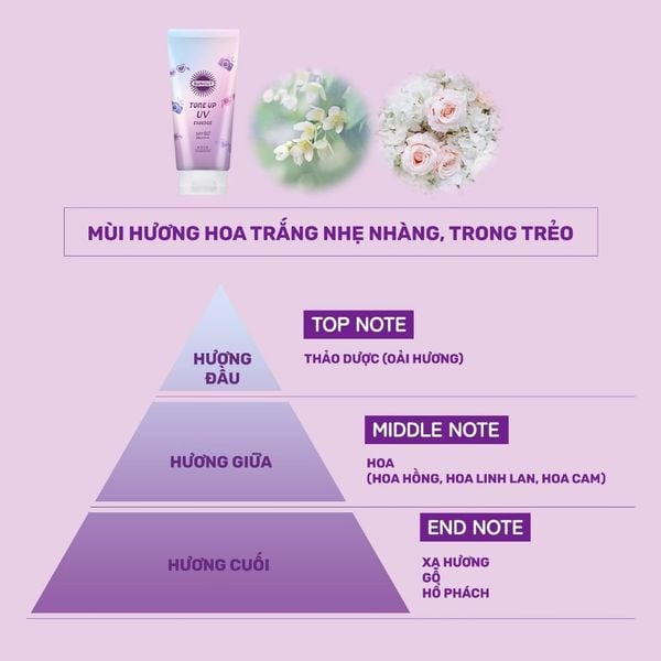 Tinh Chất Chống Nắng Nâng Tone Da Suncut Tone Up UV Essence SPF50+ PA++++ 80g (4 Loại)