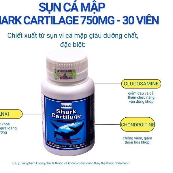 Sụn Cá Mập Costar SHARK CARTILAGE 750MG, Bổ Khớp - Hộp 30 Viên - Nhập Khẩu Chính Hãng Úc
