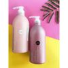Bộ Dầu Gội Xả Siêu Dưỡng & Phục Hồi Tóc Salon Link Repair & Protect Extra (1000ml/Chai)