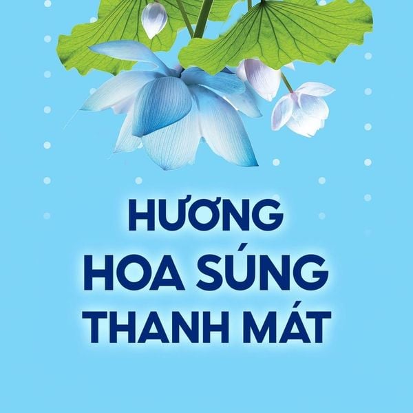 Gel Khử Mùi Secret Cool Waterlily Antiperspirant/Deodorant 73g