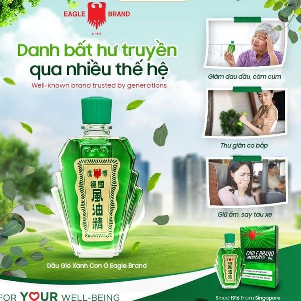 Dầu gió xanh Con Ó Eagle Brand Medicated Oil giảm nhức đầu, cảm cúm, có 3ml, 6ml, 12ml và 24ml