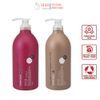Bộ Dầu Gội, Xả Hoa Trà Phục Hồi Tóc Hư Tổn Salon Link Salonlink Damage & Repair 1000ml Nhật Bản (đỏxnâu)