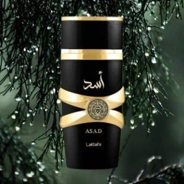 Nước Hoa Nam Lattafa Asad EDP 100ml – Hương Cay Nồng & Gỗ Trầm Quyền Lực Nam Tính
