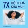Gel Khử Mùi Secret Cool Waterlily Antiperspirant/Deodorant 73g