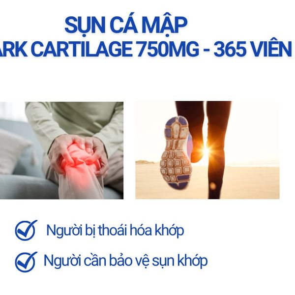 Sụn Cá Mập Costar SHARK CARTILAGE 750MG, Bổ Khớp - Hộp 365 Viên - Nhập Khẩu Chính Hãng Úc