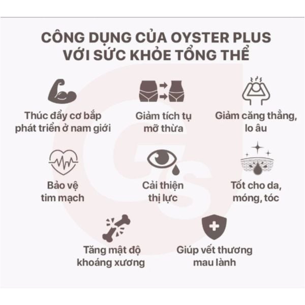 Viên Uống Hàu Biển Goodhealth Oyster Plus (60 viên) Bổ Sung Kẽm, Tăng Đề Kháng và Sinh Lực Phái Nam