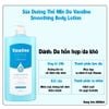 Sữa Dưỡng Thể Dưỡng Ẩm Cao C2Y Vaseline Daily Moisture/Double Moisture/Smoothing Body Lotion 1000ml