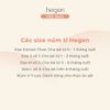 Bộ 2 núm ti Hegen đủ size S, M, L từ sơ sinh đến 6 tháng, Extract Flow, dùng thức ăn sệt