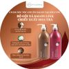 Bộ Dầu Gội, Xả Hoa Trà Phục Hồi Tóc Hư Tổn Salon Link Salonlink Damage & Repair 1000ml Nhật Bản (đỏxnâu)