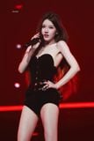  Rosy Corset 