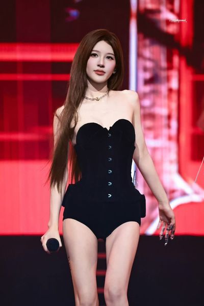  Rosy Corset 