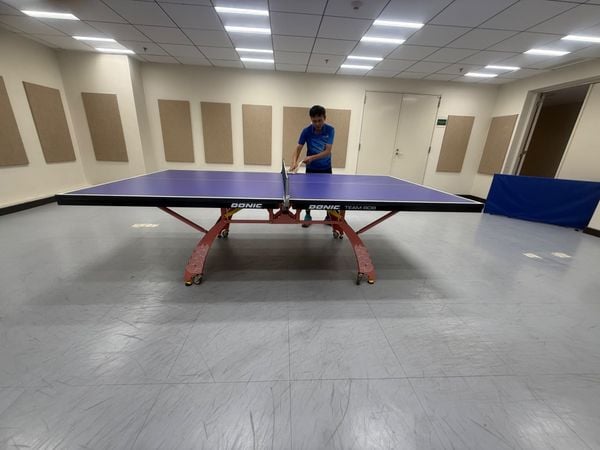  Mặt Bàn Donic Team 808 (không bao gồm chân bàn) 